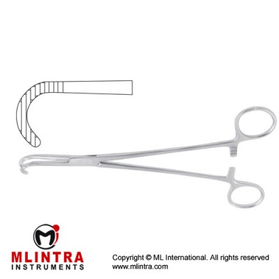 Desjardins Bile Duct Clamp Curved Downards Stainless Steel, 21 cm - 8 1/4"